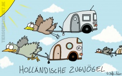 Holländische Zugvögel - Cartoon